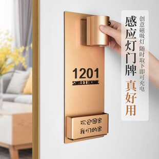 充电感应灯插花门牌发光创意智能家用新居高级感入户装饰网红平安