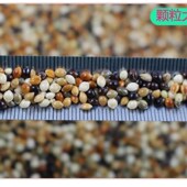 黑黍子带壳仓鼠鹦鹉文鸟珍珠鸟粮鸽粮鸟饲料5斤 包邮