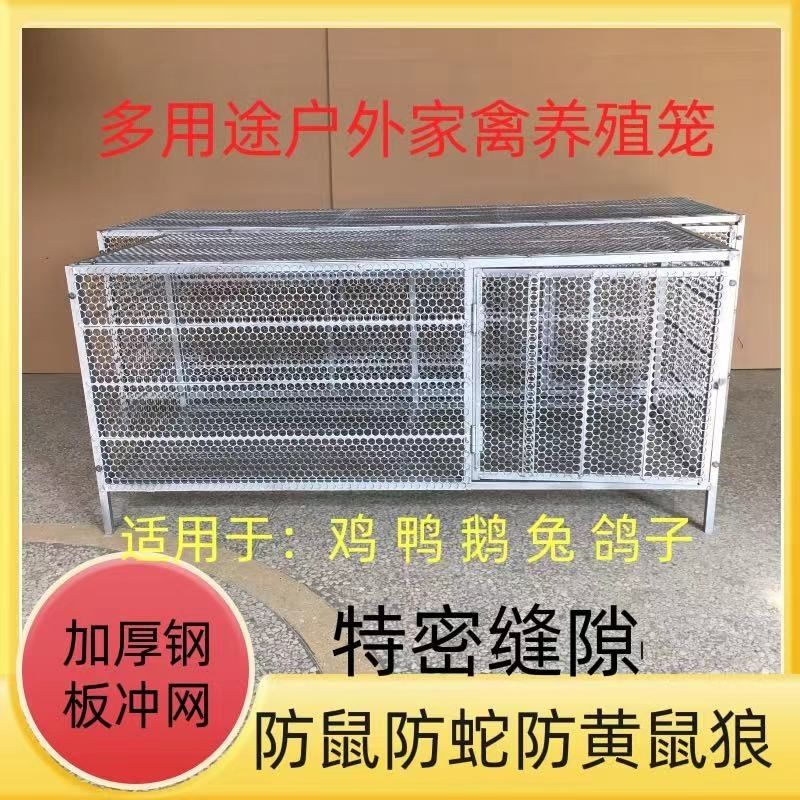 家用室外鸡笼子鸭笼子兔笼子户外大号特密养殖笼防耗子黄鼠狼偷吃