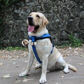 狗狗胸背带中大型犬防爆冲牵引绳金毛拉布拉多遛狗绳狗链狗背心