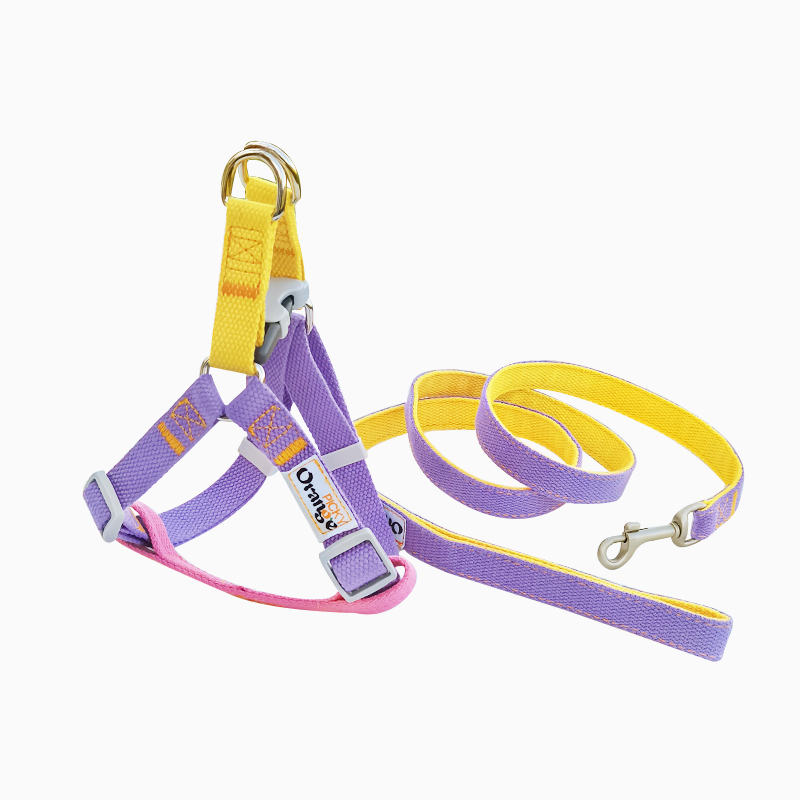 BESTA-网红撞色!宠物狗狗牵引绳小型犬比熊泰迪胸背带外出防挣脱