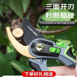 园艺剪刀修枝剪修剪剪树枝专用省力剪枝修花园林花剪家用果树神器