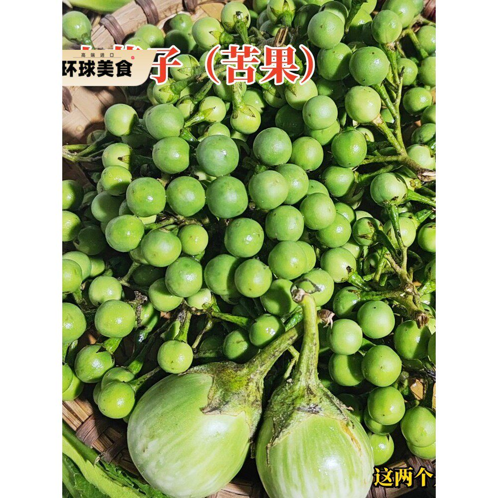 云南苦果 野生小苦果苦茄小圆幼青茄苦凉野果新鲜蔬菜野生德宏1斤
