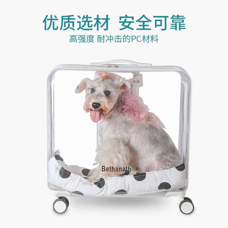 户外旅行泡泡箱宠物拉杆箱外出便携透明猫咪行李箱透气太空舱猫包