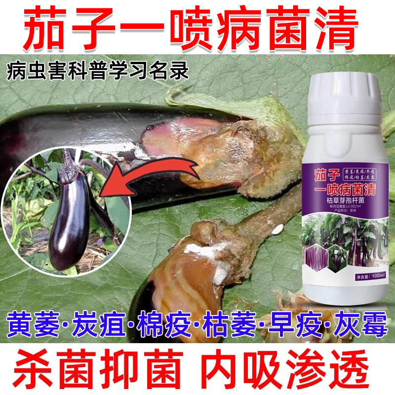 茄子一喷病菌清黄萎病疫病白粉病炭疽病黄叶病害防治微生物菌剂