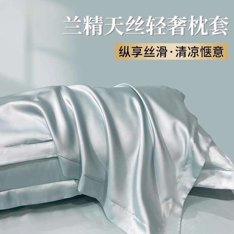 天丝夏季枕套双面真丝一对装高支冰丝凉整套48x74cm轻奢