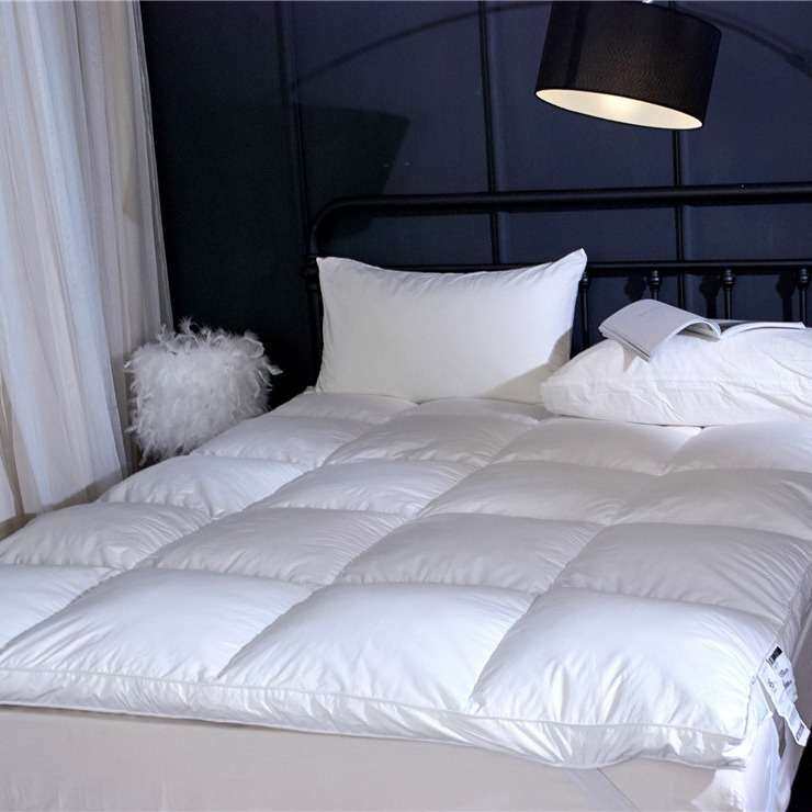 超柔软型榻榻米床垫子加厚垫被床褥子单双人1.8m席梦思床垫保护垫