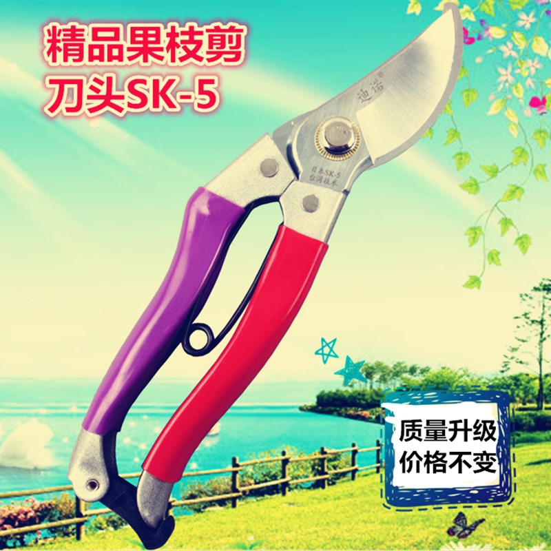 迪诺剪刀 修枝剪 园艺园林工具 双色手柄修枝剪 花枝剪稼枝剪花剪