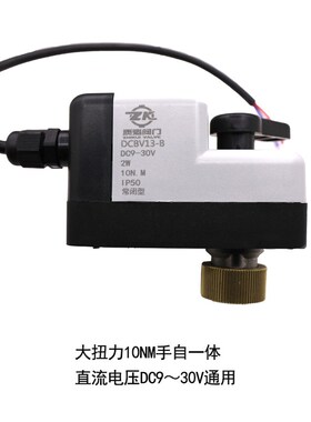 手自一体两线电动球阀二通AC220VDC124V复位大扭力常闭代替电磁阀