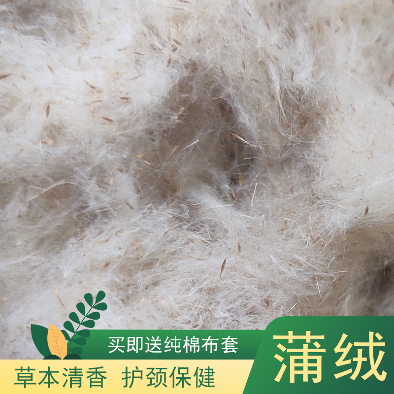 精品天然蒲绒枕头蒲絮水蜡烛芦花蒲草香蒲绒香蒲枕填充物枕芯送枕
