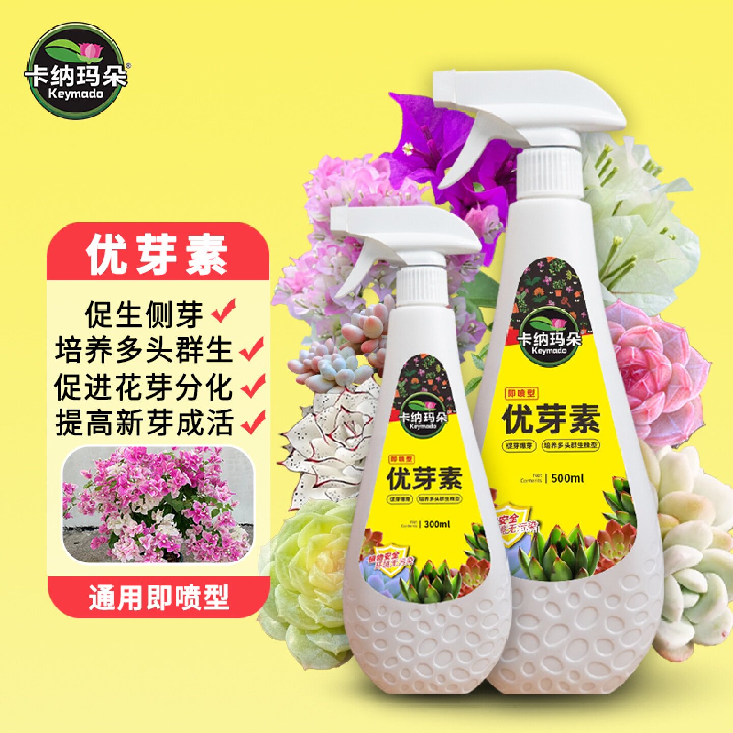 新一代多肉优芽素家庭园艺