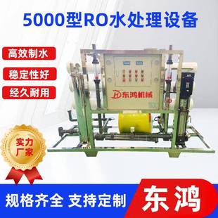 RO反渗透双级医院制药厂纯净水处理设备实验室原水处理设备厂家