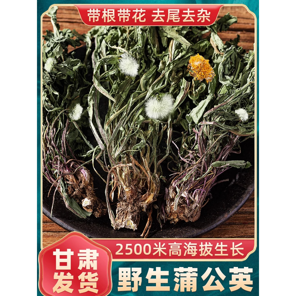 蒲公英新鲜野生中药材蒲公英茶正品特级500g官方旗舰店浦公英根