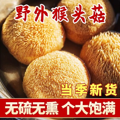 长白山猴头菇干货新货官方旗舰店正品煲汤养胃东北新鲜野生猴头菌