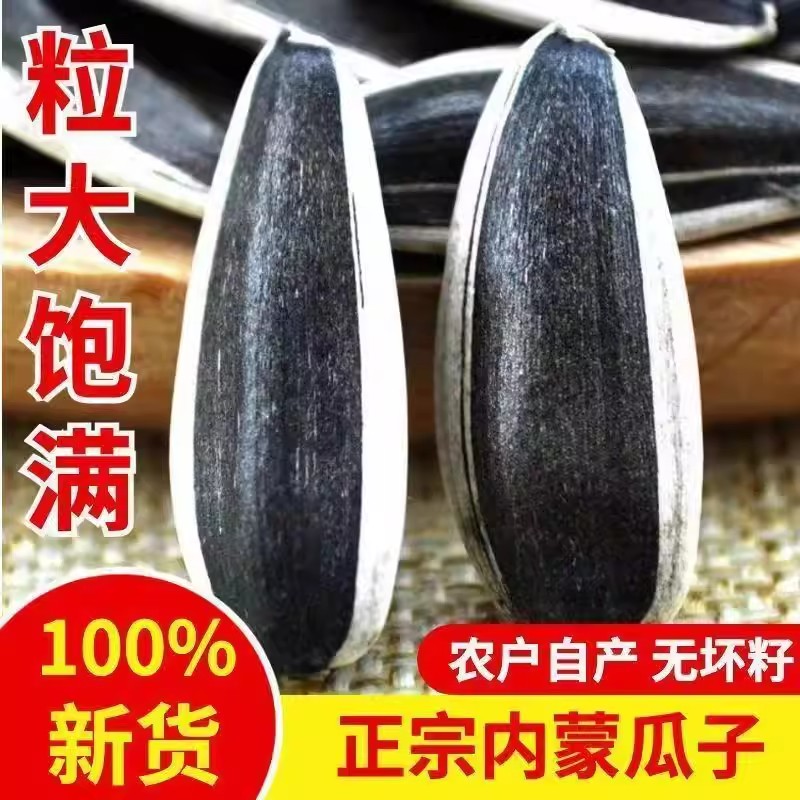 内蒙363瓜子官方旗舰店2025年新货大颗粒生瓜子五香原味干炒瓜子图片
