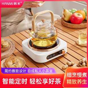 围炉煮茶家用室内煮茶器电陶炉一套烤茶罐罐茶煮茶炉玻璃茶壶套装