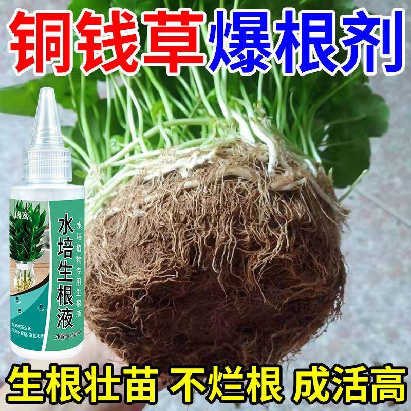 铜钱草生根液专用肥料水培营养液扦插育苗爆根壮根绿叶促长水溶肥