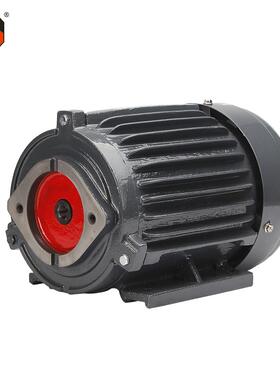 台湾款3KW4HP内插式YT100L2液压站系统油泵电动机VP20 VP15 VP12