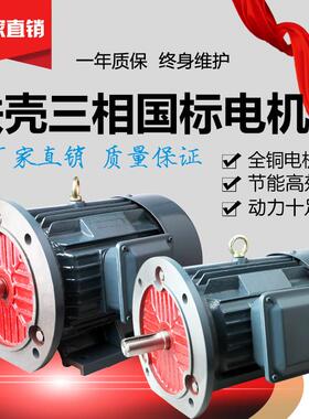 厂家纯铜三相异步电动机铁壳交流电机YE3 Y2 0.75kw-4YE2-80M2-4