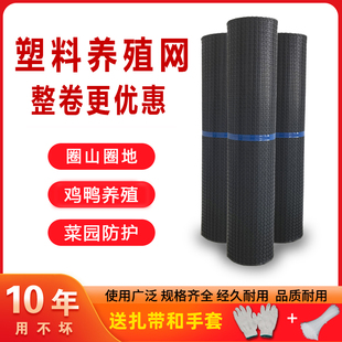 塑料网格防护网养殖养鸡围栏网z菜园围网户外隔离网鱼塘护栏圈玉