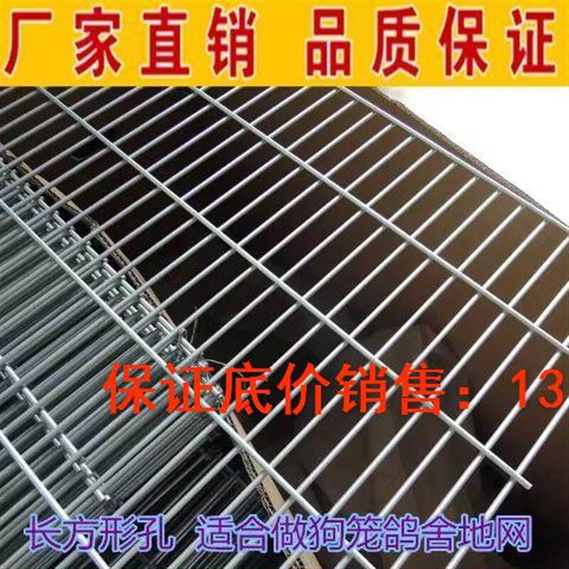 镀锌铁丝网鸽舍鸟笼围网养殖网y方格网片加粗狗笼地网鸡鸭鹅围栏