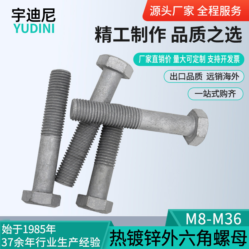 热镀锌外六角螺丝热浸锌螺栓高强度铁塔电力6M8M10M12M1V6M20M24
