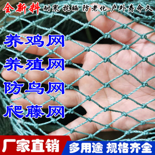养殖网养鸡网尼龙网拦鸡网v围鸡网家禽塑料网护栏网菜园围网防护