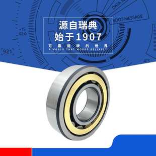 NU303ECP NU307ECP NU304ECP NU306ECP C3轴承 NU305ECP SKF轴承