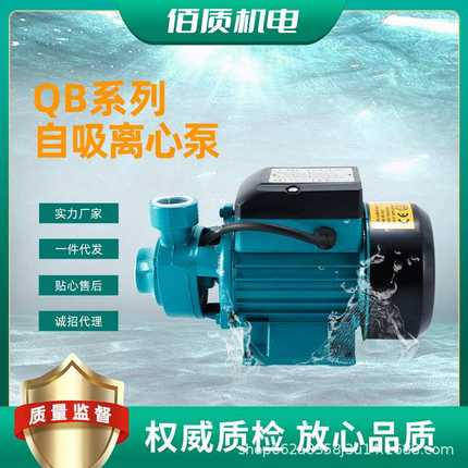 出口QB60 QB70 QB80自吸清水泵旋涡式离心泵110v220v专业E18