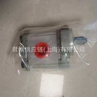 P127RP01GT 齿轮泵 价格需核实 KOMPASS