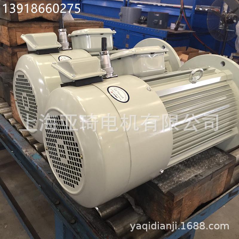 YP-50-0.37-4计量泵 加压泵用电机 CEMA 变频调速电机