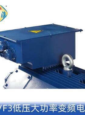 六安低压大功率YPTS-355-10/250W变频调速三相异步电机