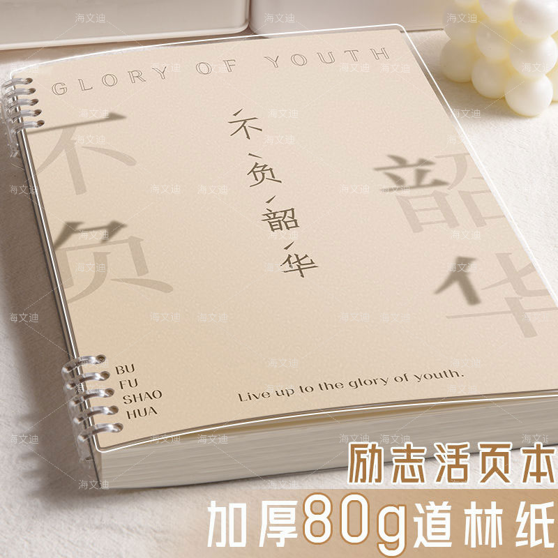 B5活页本可拆卸笔记本本子a5高颜值日记本大学生记事本加厚线圈本
