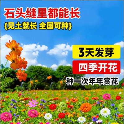 【下单立减50】品种多样 耐寒耐旱南北方都适宜-适合庭院-阳台_SH