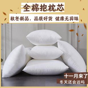 抱枕芯填充材料填充物沙发靠背垫芯抱枕心内芯正方形4540x4050x50