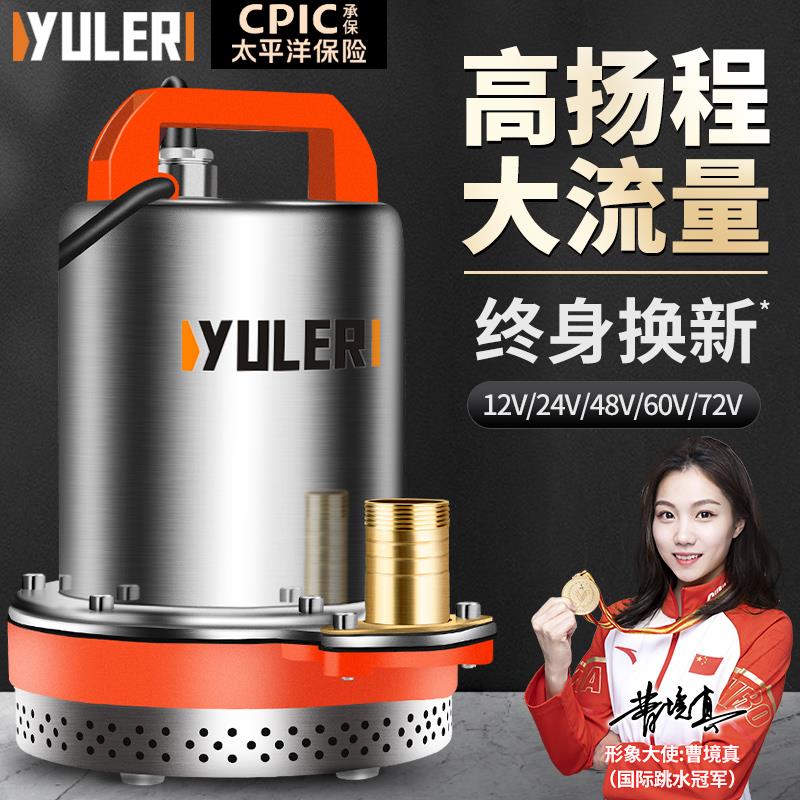渝乐12V24V直流潜水泵48V60V农用电动车电瓶小型灌溉抽水泵机家用