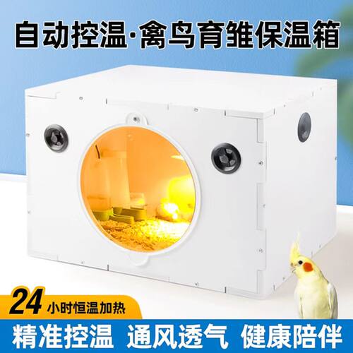 芦丁鸡饲养箱全套透明专用自制恒温控温大号别墅养笼保温灯饲养柜