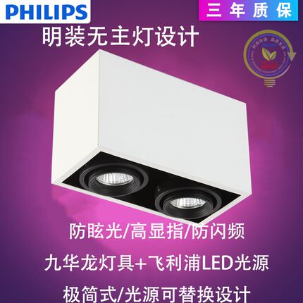 艾朵拉光源LED双头明装筒灯吸顶射灯斗胆灯豆胆灯方形无主灯设计