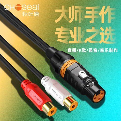 秋叶原双莲花母转卡农公/母一分二一拖二RCA母转卡侬头调音台av功