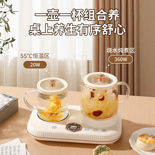 多功能养生电炖杯双底座小型玻璃养生杯炖煮一体养生壶礼品杯