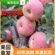 国光苹果正宗老品种小国光苹果酸甜可口皮薄肉脆 多汁果园直发