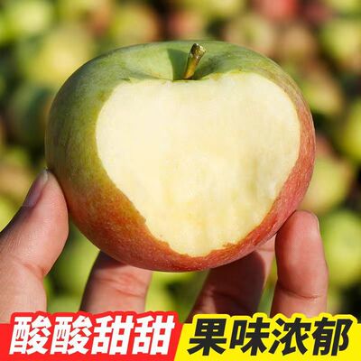 国光苹果正宗小国光酸甜口脆口老品种国光小时候的味道没套袋