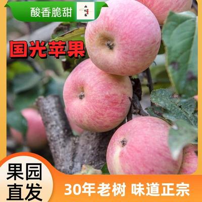 正宗五莲国光苹果酸甜脆