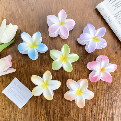 亚马逊发夹爆款紫荆鸡蛋花糖果色网红发抓渐变色清新后脑勺抓夹