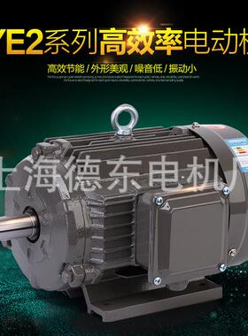上海德东 YE2 YE3 180L-4 22KW 三相异步电动机 马达
