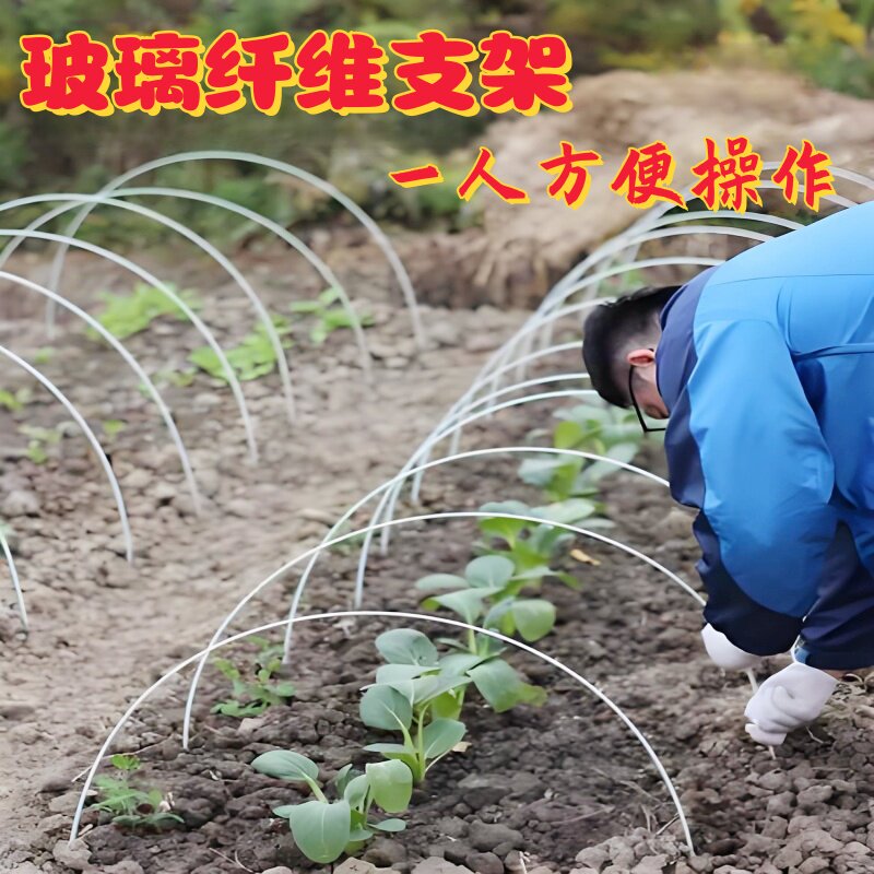 拱棚支架玻璃纤维杆菜园菜棚拱杆葡萄架爬藤架玻璃钢瓜棚豆角架杆图片