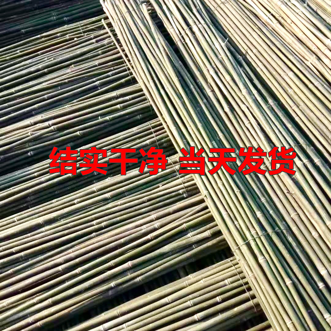 竹竿菜园搭架蔬菜黄瓜番茄豆角架杆竹篱笆栅栏小竹子细竹竿葡萄架