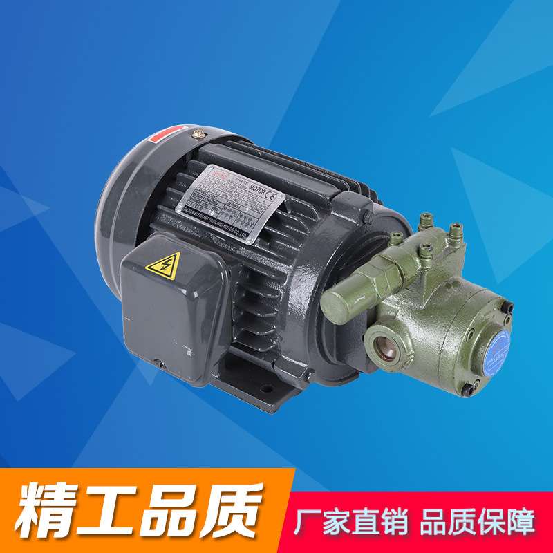 厂家直销  热卖  A10-1HP内转齿轮泵浦马达组合