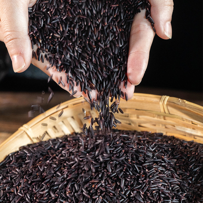 【粤春田】新兴微丰精品紫米 源头产地 当季新米 糙米紫米