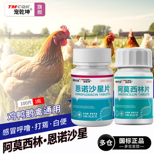 阿莫西林兽用恩诺沙星鸡用拉稀水便白痢抗菌消炎养鸡专用药常备药